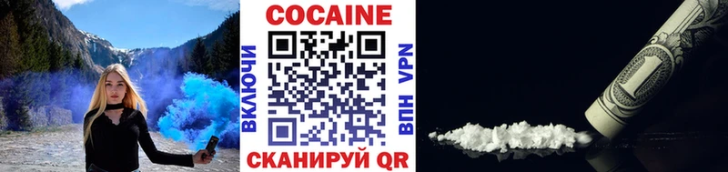 Купить закладки  Зуевка  COCAIN Fish Scale 