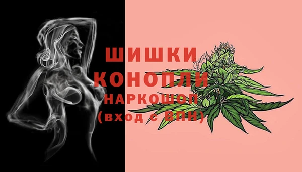 спайс Иннополис