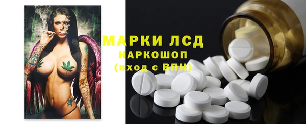 2c-b Инта