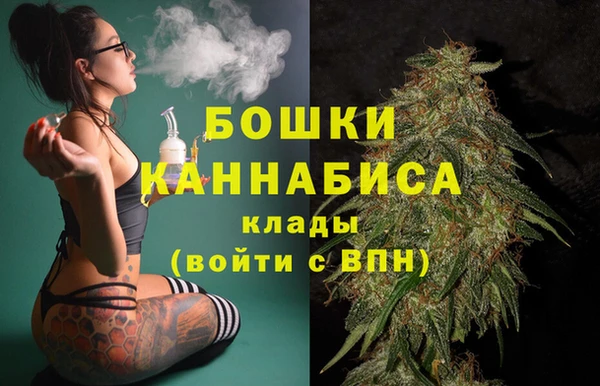 2c-b Инта