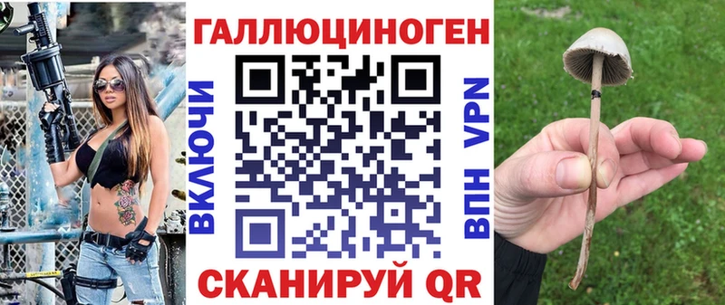 Купить где  Зуевка  Псилоцибиновые грибы ЛСД 